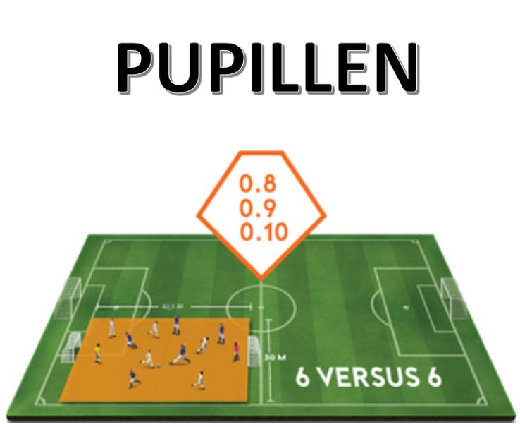 Spelvorm 6 tegen 6